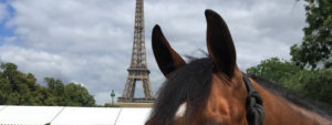 Hästens öron med Eiffeltornet i bakgrunden