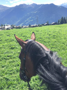 En häst med utsikt över gräs, hus och höga berg
