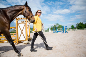 Fotografering av Lisen Fredricson och en häst med hinder i bakgrunden