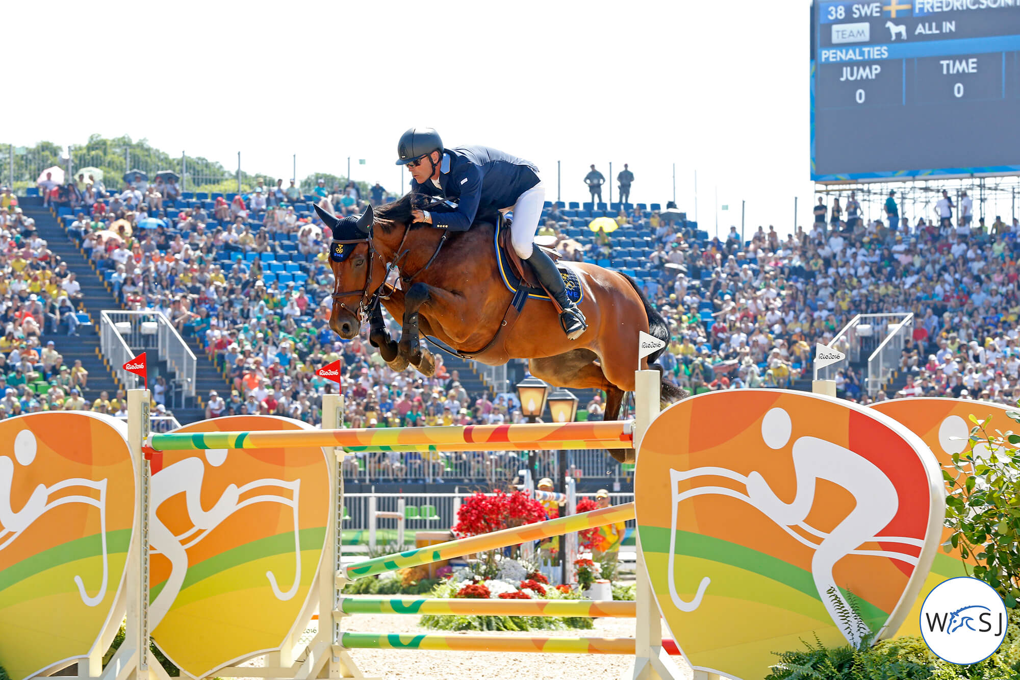Peder och hästen hoppar över hinder på OS